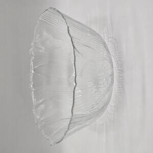 Arcoroc Canterbury Crocus Clear Glass Large Serving Bowl